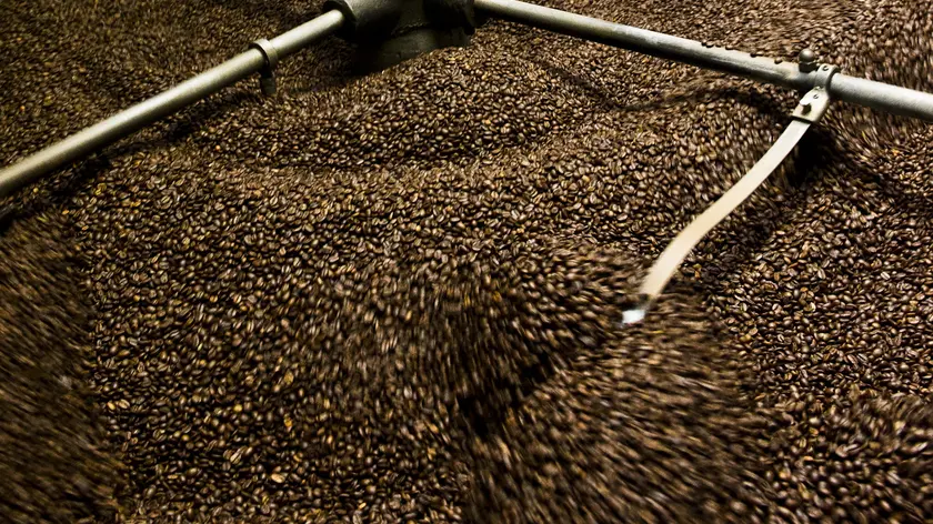 Grains