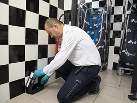 Desratização